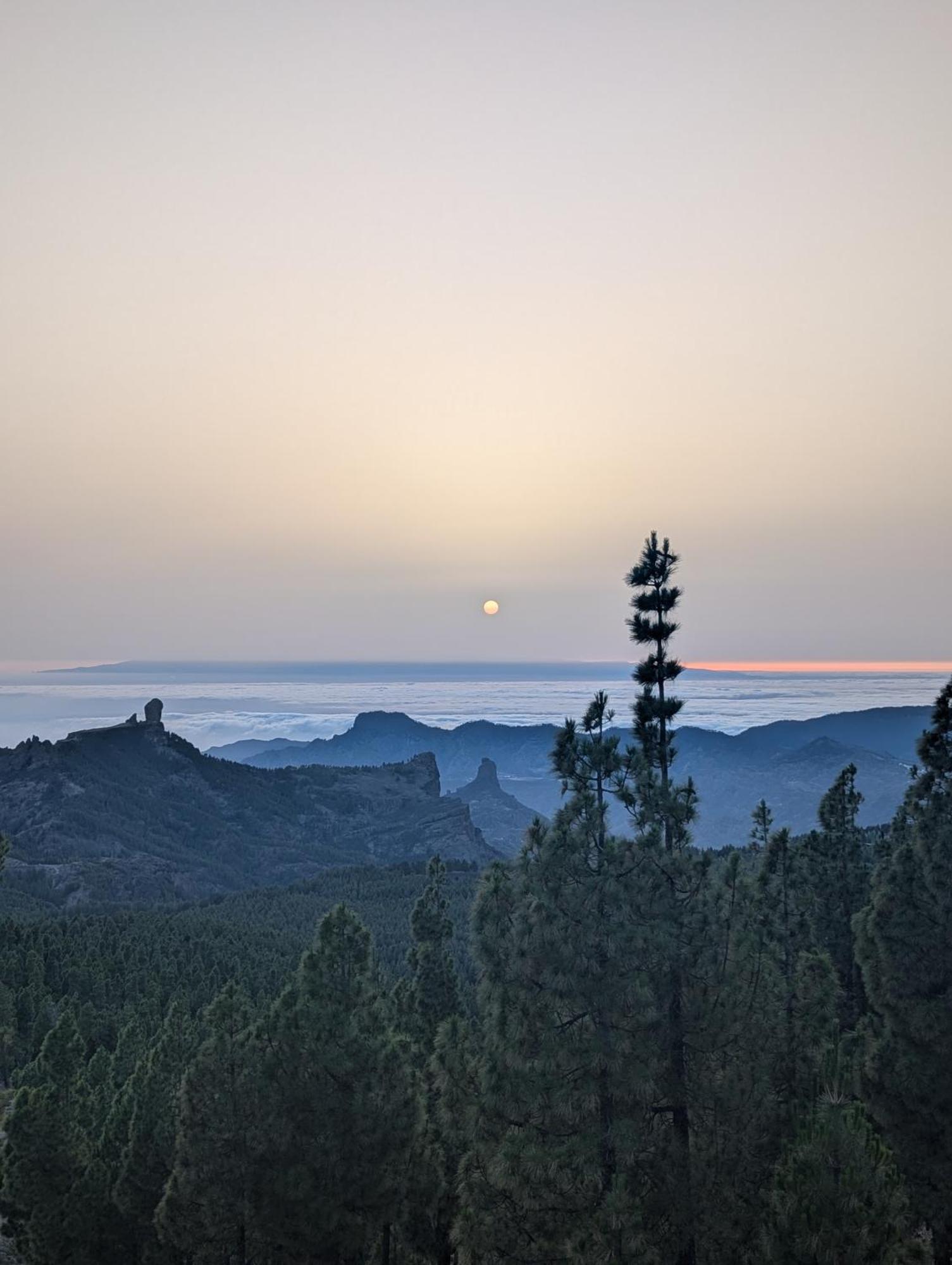Hostel Tamaran House Las Palmas de Gran Canaria Exteriér fotografie